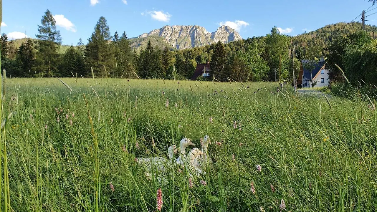 Kwatera prywatna Pokoje na Buńdówkach Zakopane