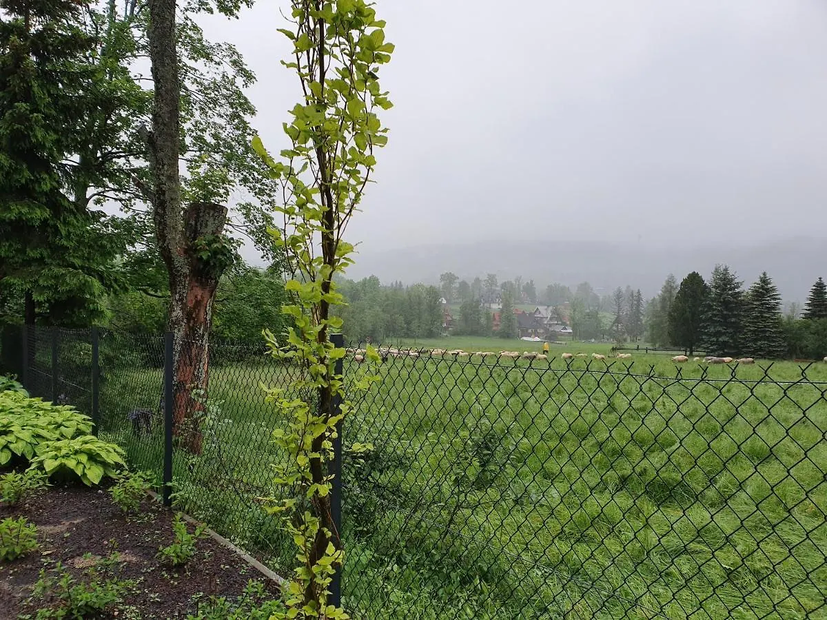 Kwatera prywatna Pokoje na Buńdówkach Zakopane