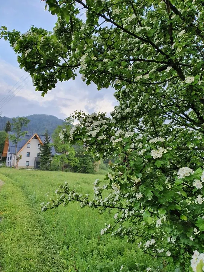 Homestay Pokoje Na Bundowkach Zakopane